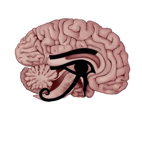 Eye of Horus : Fractions in your Brain - DAILY NEWS