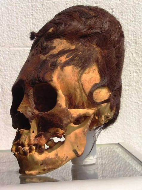 DNA Tests Reveal 3,000-year-old Paracas Skulls Are Of Unknown Human Race - DAILY NEWS