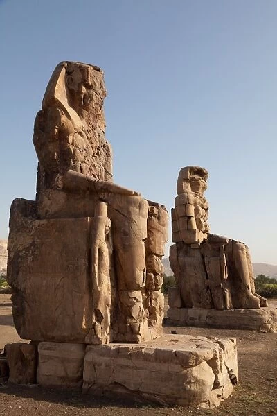 The ancient Colossi of Memnon near Luxor, Thebes, UNESCO World Heritage Site, Egypt, North Africa, Africa - DAILY NEWS