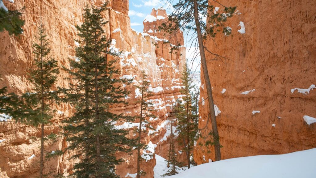 Red Rocks, Pink Cliffs, and Endless Vistas