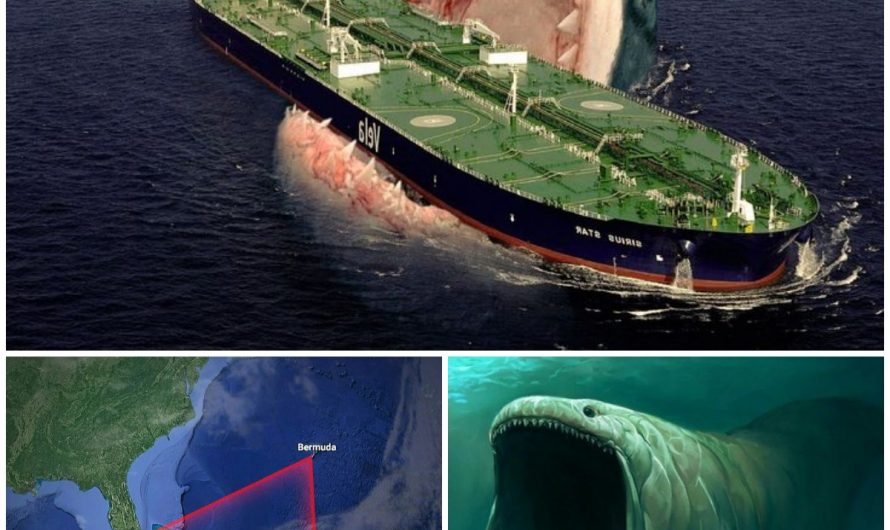 The Bermuda Triangle’s Darkest Secret: A Legendary Monster Attacks Ships