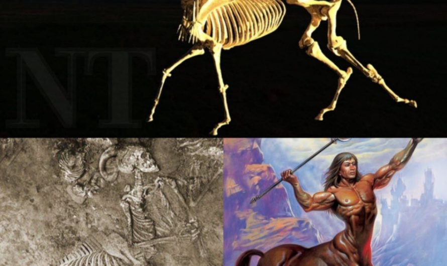 Uncovering Legends: The Half-Human, Half-Horse Skeleton Unearthed in Greece