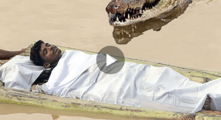 Giant crocodile sheltering in the river suddenly emerged to eat people, causing people to panic (video)