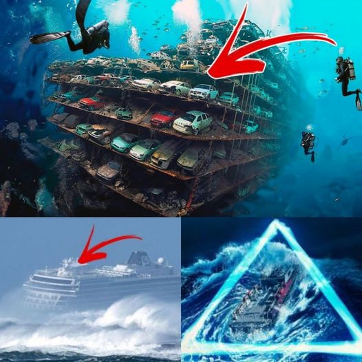 Breaking News: Unraveling the 1982 Bermuda Triangle Disaster of the World’s Largest Container Ship