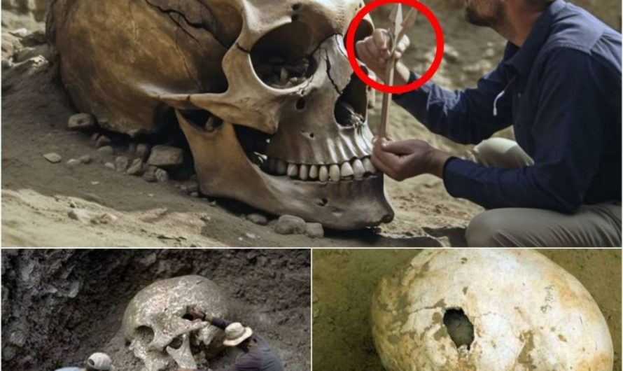 Archaeologists Uncover Nephilim Skull: A Discovery That Could Rewrite History