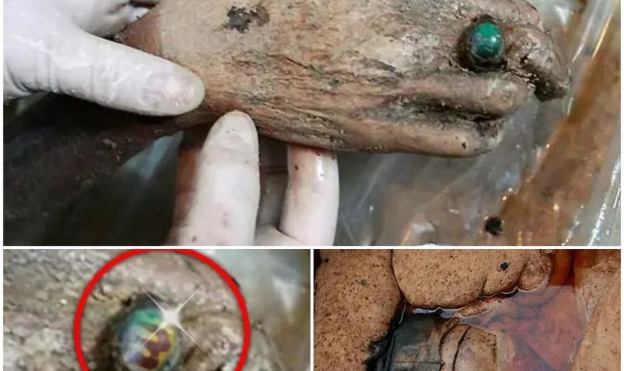 700-Year-Old Intact Chinese Mummy Discovered: A Glimpse into the Past