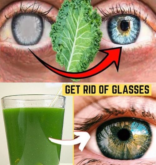 5 Essential Leaves to Naturally Improve Eye Health