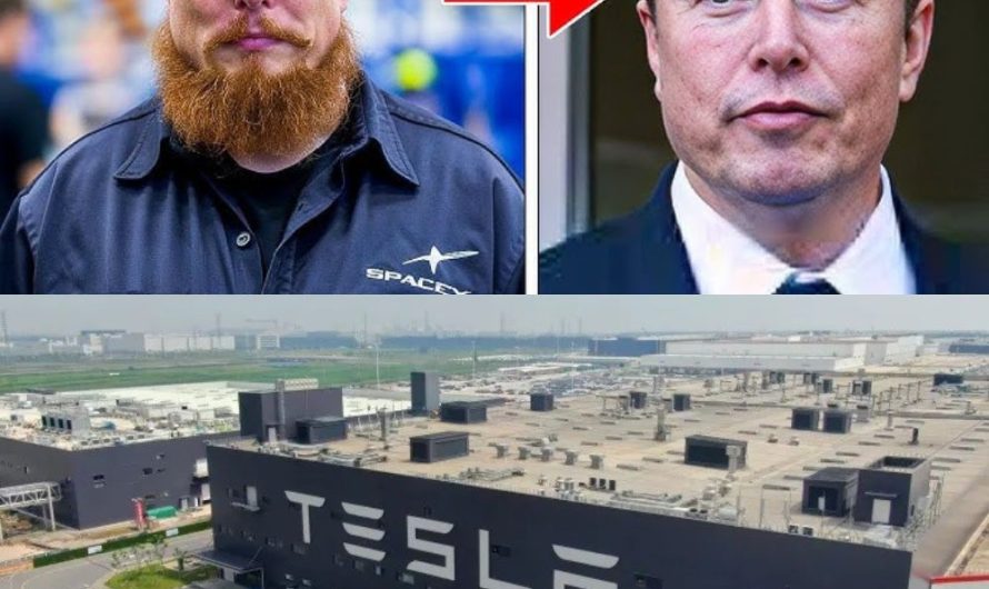 Tesla’s Shocking Secret: Why Did Elon Musk ‘Hide’ Within His Own Company?  (VIDEO)