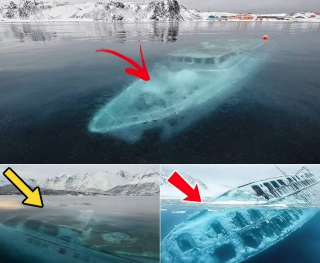 BREAKING NEWS: 100-year-old mystery solved: Ghost ship emerged from Antarctic ice.