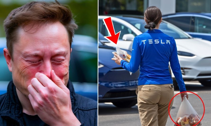 Elon Musk Follows an Employee Working Double Shifts Who Asked for Food to Her Home