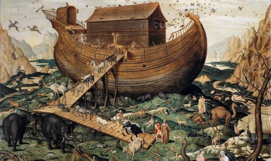 ‘Noah’s Ark’ site in Turkey shows evidence of human activity dating back to biblical era