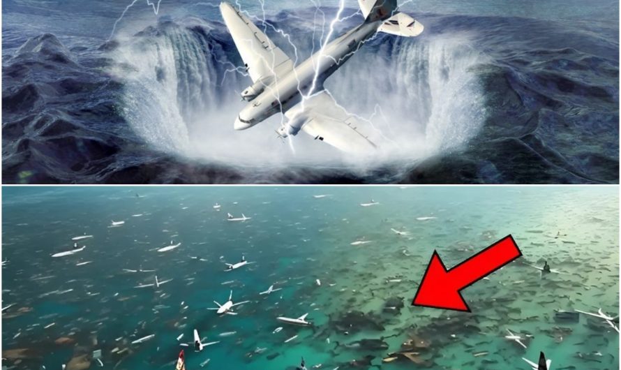 Scientists Discover Millions of “Ghost Planes” Floating in the Bermuda Triangle