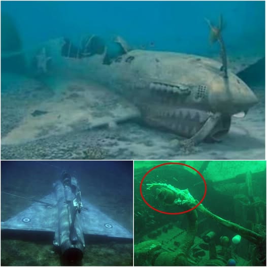 Mysterious Giant Plane Discovered Intact Deep in the Bermuda Triangle: A Terrifying Revelation