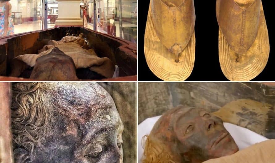 The Remarkable Mummy of Thuya: A Window into Ancient Egyptian Royalty