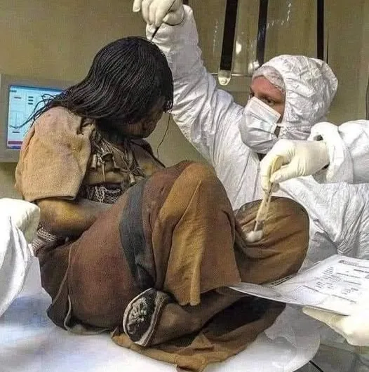 Inca mummies: Child sacrifice victims fed drugs and alcohol