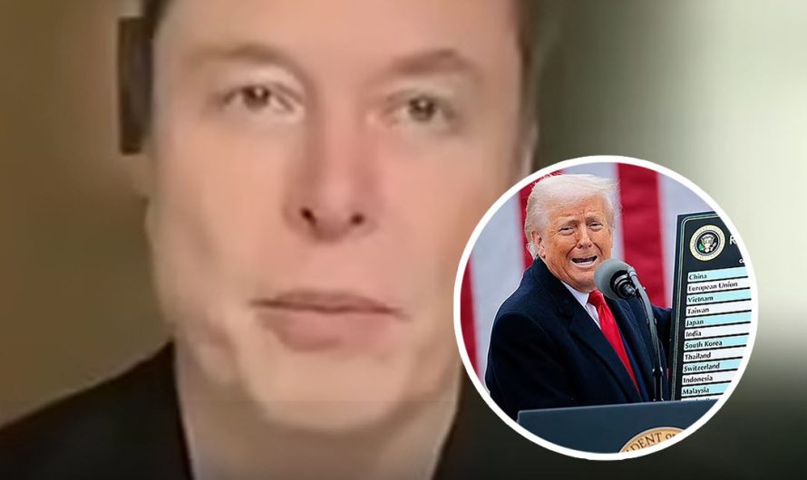 Elon breaks with Trump on tariffs as he goes public with White House dissent