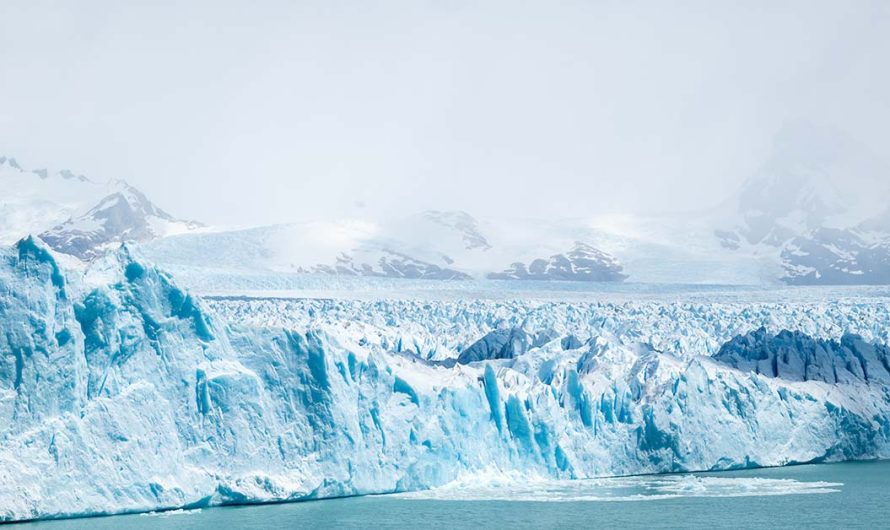Camera Lowered Into Hole 93 Meters Beneath Antarctica Makes Stunning Discovery