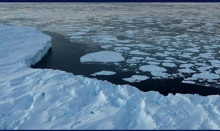 Antarctica sees first ice gain in decades