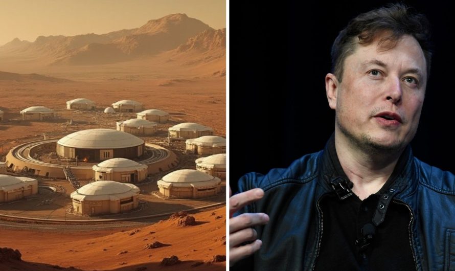 Elon Musk Warns: “All Life on Earth Will Eventually Be Annihilated by the Sun”