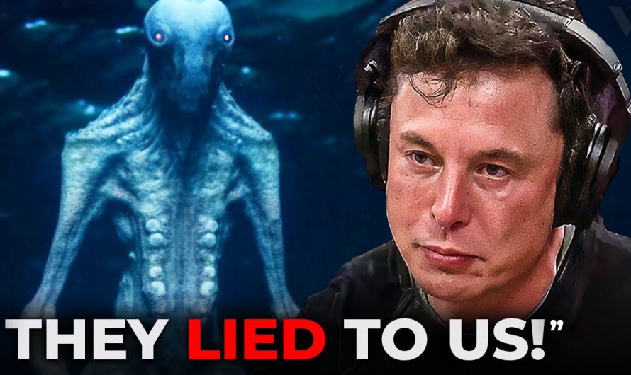 Elon Musk Tells Us What The Navy Saw While Diving In The Ocean