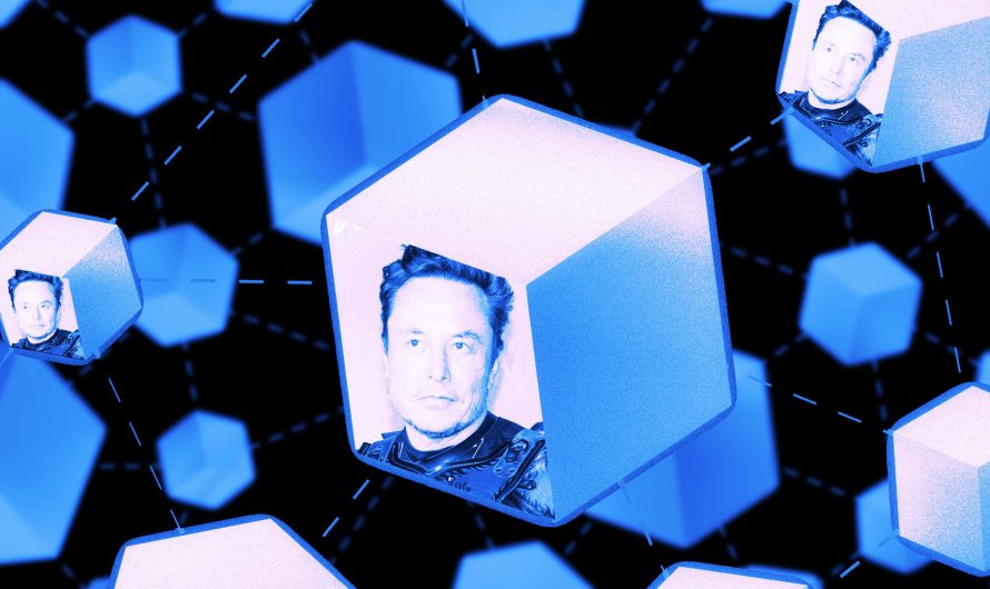 Elon Musk’s MetaNation: The $120B Digital Nation Built on Blockchain and Starlink