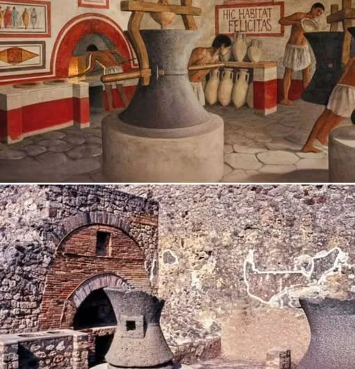 The Fascinating World of Baking in Ancient Rome