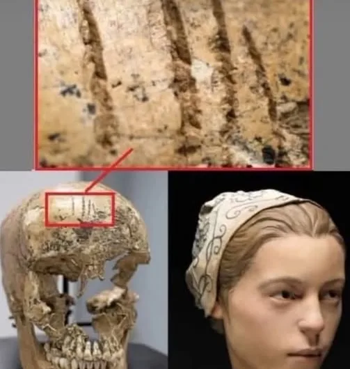 Skeleton of teenage girl confirms cannibalism at Jamestown colony