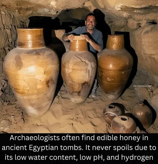 Honey That Lasts Forever: A Sweet Discovery from Ancient Egypt