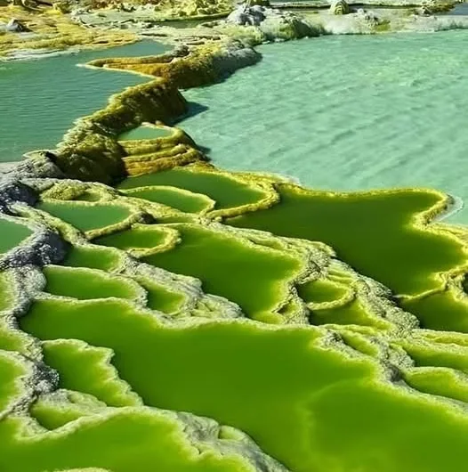 The Danakil Desert: Earth’s Alien Landscape and the Afar’s Resilience
