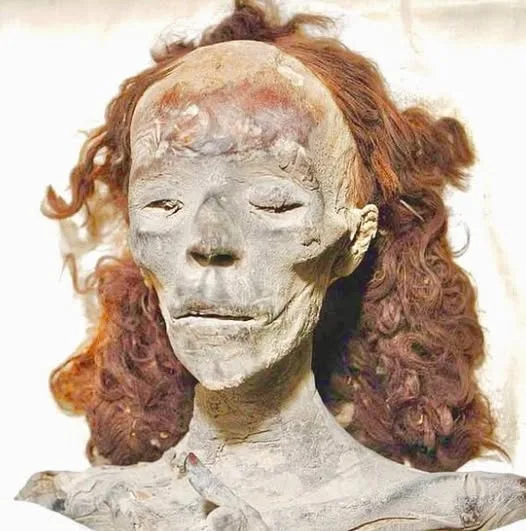 Queen Tiye: The Enduring Legacy of an Ancient Egyptian Powerhouse