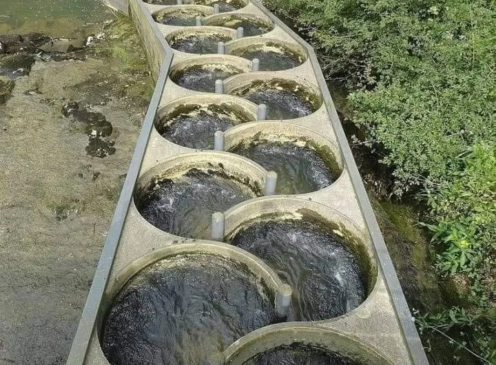 Different Types Of Fish Ladders (Fishways)