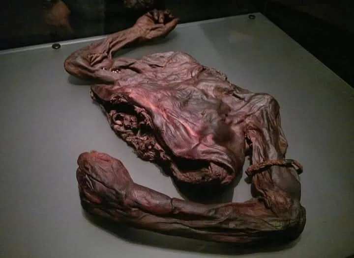 2,000 year old human torso of an Irish man that was found in a bog back in June of 2003.
