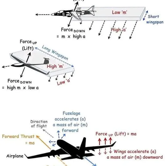 The Physics of Takeoff: How Aircraft Conquer the Sky