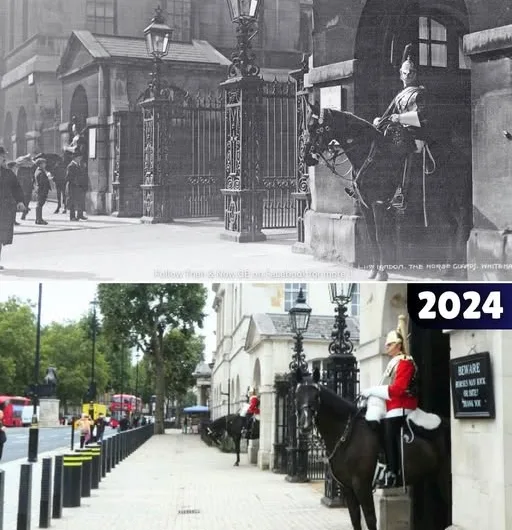 The Horse Guards of Whitehall: A Timeless Tradition in London’s Heart