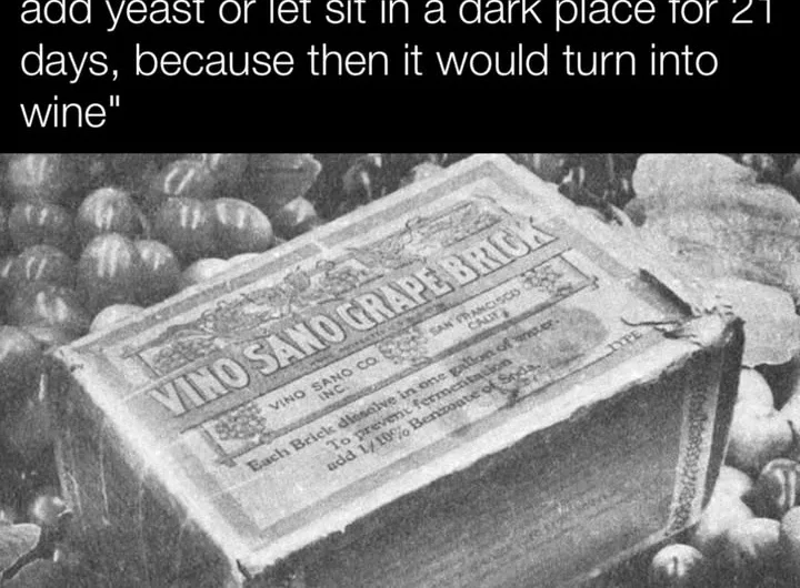 The Wily Winemakers of Prohibition: How “Grape Bricks” Kept America’s Wine Culture Alive – A Deeper Dive