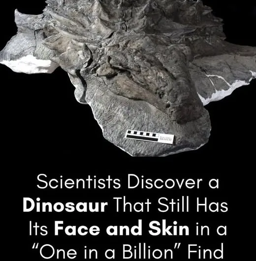 A Dinosaur Like You’ve Never Seen Before: Unearthing a 110-Million-Year-Old Marvel in Canada