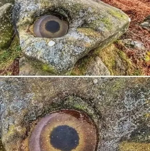 The Eye in the Ice: A Frosty Encounter on Stanton Moor Edge