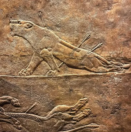 The Lion Hunt of Ashurbanipal: A Masterpiece of Assyrian Art