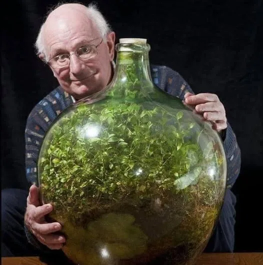 David Latimer’s Sealed Bottle Garden: A 60-Year Ecosystem Miracle