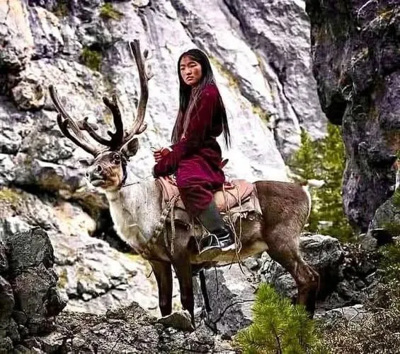 The Tsaatan Tribe: Mongolia’s Last Reindeer Herders