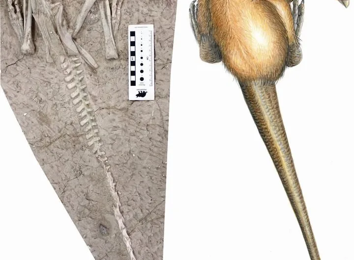 New Burrowing Dinosaur Species May Have Perished in a ‘Cretaceous Pompeii’-Like Eruption