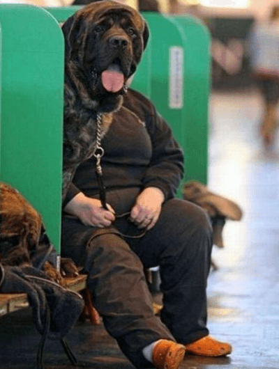 14 Sites with Funny Pictures to Make You LOL