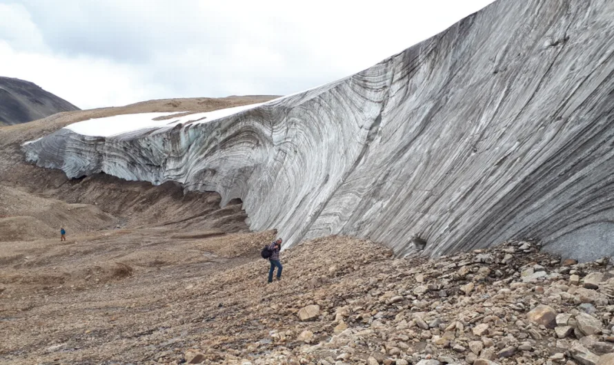 Melting ice reveals dozens of 7,000-year-old artifacts in Canada. 