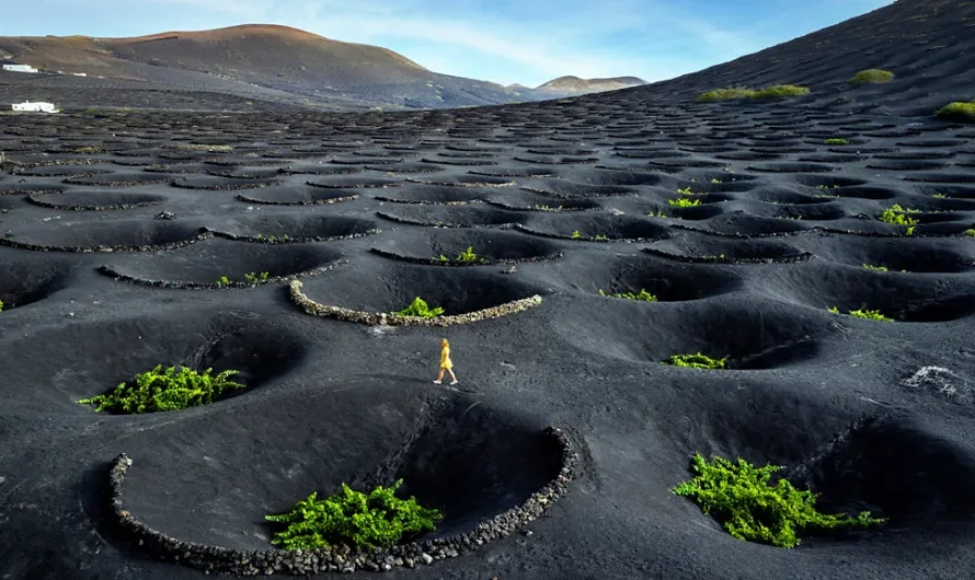 La Geria: Lanzarote’s Volcanic Vineyards and the Genius of Human Adaptation