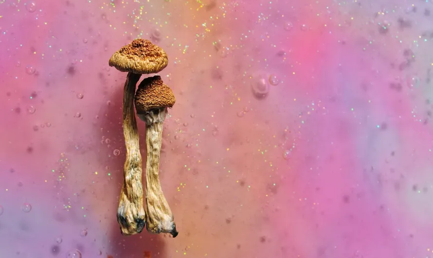 Magic Mushrooms Desynchronize Your Brain For Up To Three Weeks
