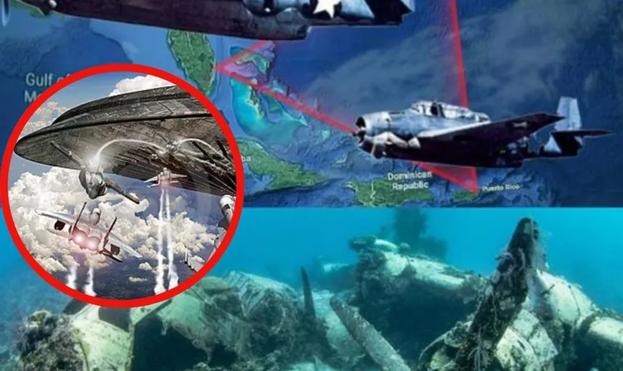 Flight’s Enigmatic Loss: A Complex Puzzle Unfolds