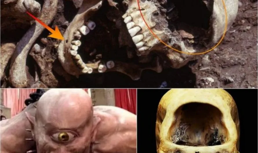 London Unearths Grim Realities of Industrial Age: A Glimpse into Hardship and Disease
