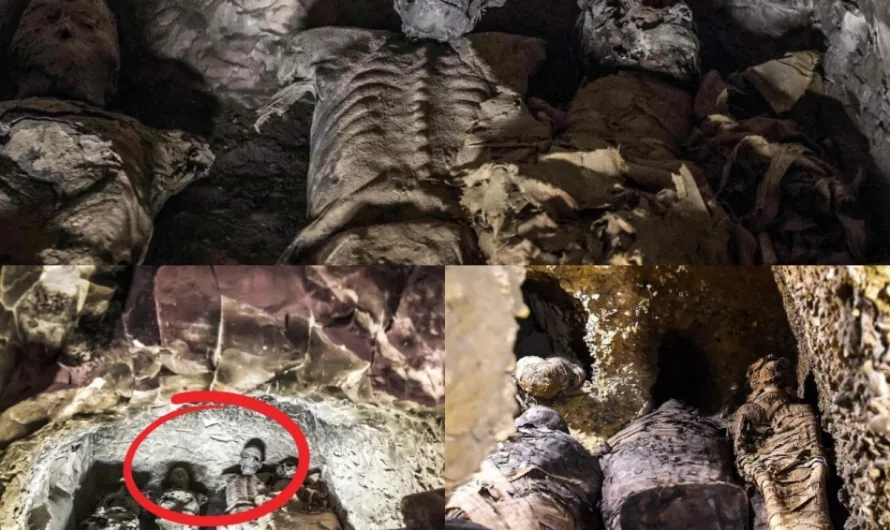 Astonishing Find: The Tomb of 40 Mummies Unveiled!