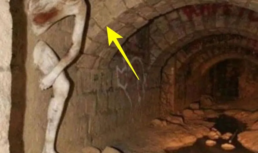 Le Passe-muraille: A Man Who Walked Through Walls