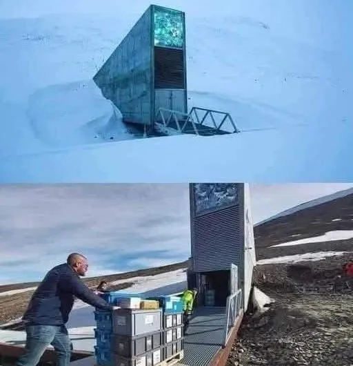 The Svalbard Global Seed Vault: The Vault at the End of the World